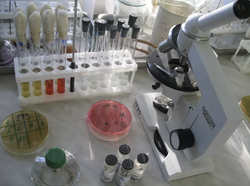 Лабораторные исследования при паразитарных заболеваниях - повышение квалификации 144 часа - официально и дистанционно